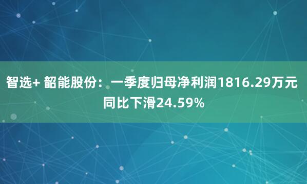 智选+ 韶能股份：一季度归母净利润1816.29万元 同比下滑24.59%