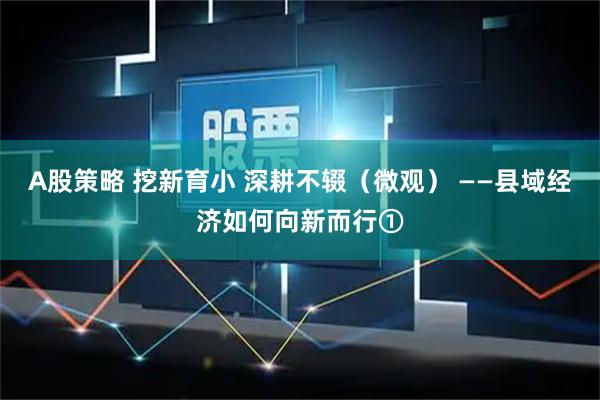 A股策略 挖新育小 深耕不辍（微观） ——县域经济如何向新而行①