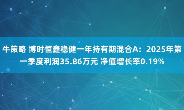 牛策略 博时恒鑫稳健一年持有期混合A：2025年第一季度利润35.86万元 净值增长率0.19%
