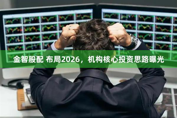 金智股配 布局2026，机构核心投资思路曝光